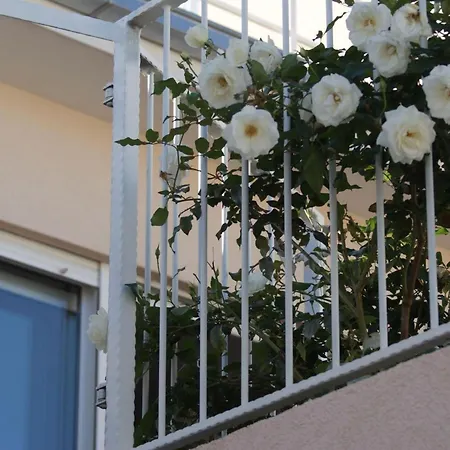 Erdgeschosswohnung Mit Terrasse Und Meerblick By Interhome *